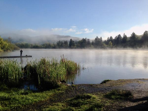 /Images/uploads/Sonoma County Regional Parks Foundation/springlake50/entries/28704thumb.jpg